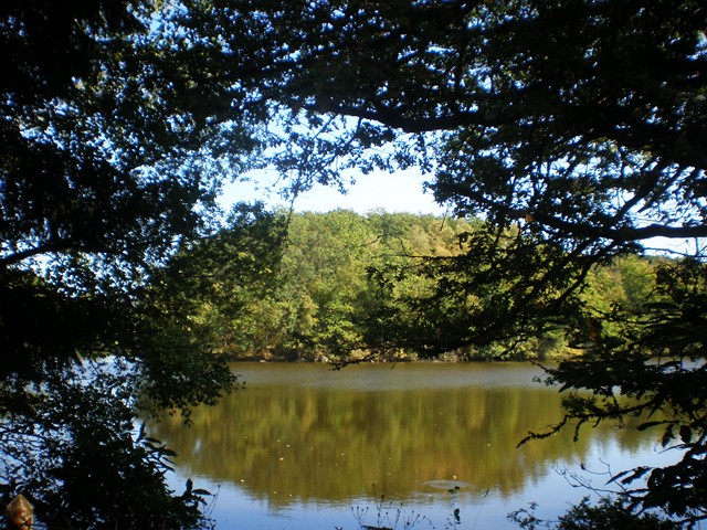 L'étang de Tricherie à Thouron