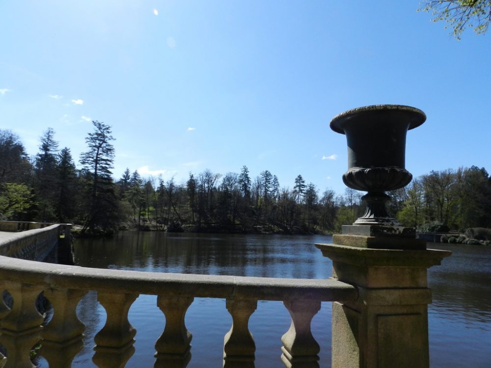 L'étang du château de Nieul
